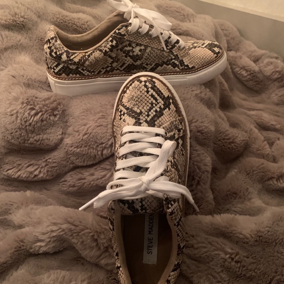 Steve Madden Santana Sneakers - Picture 4 of 5